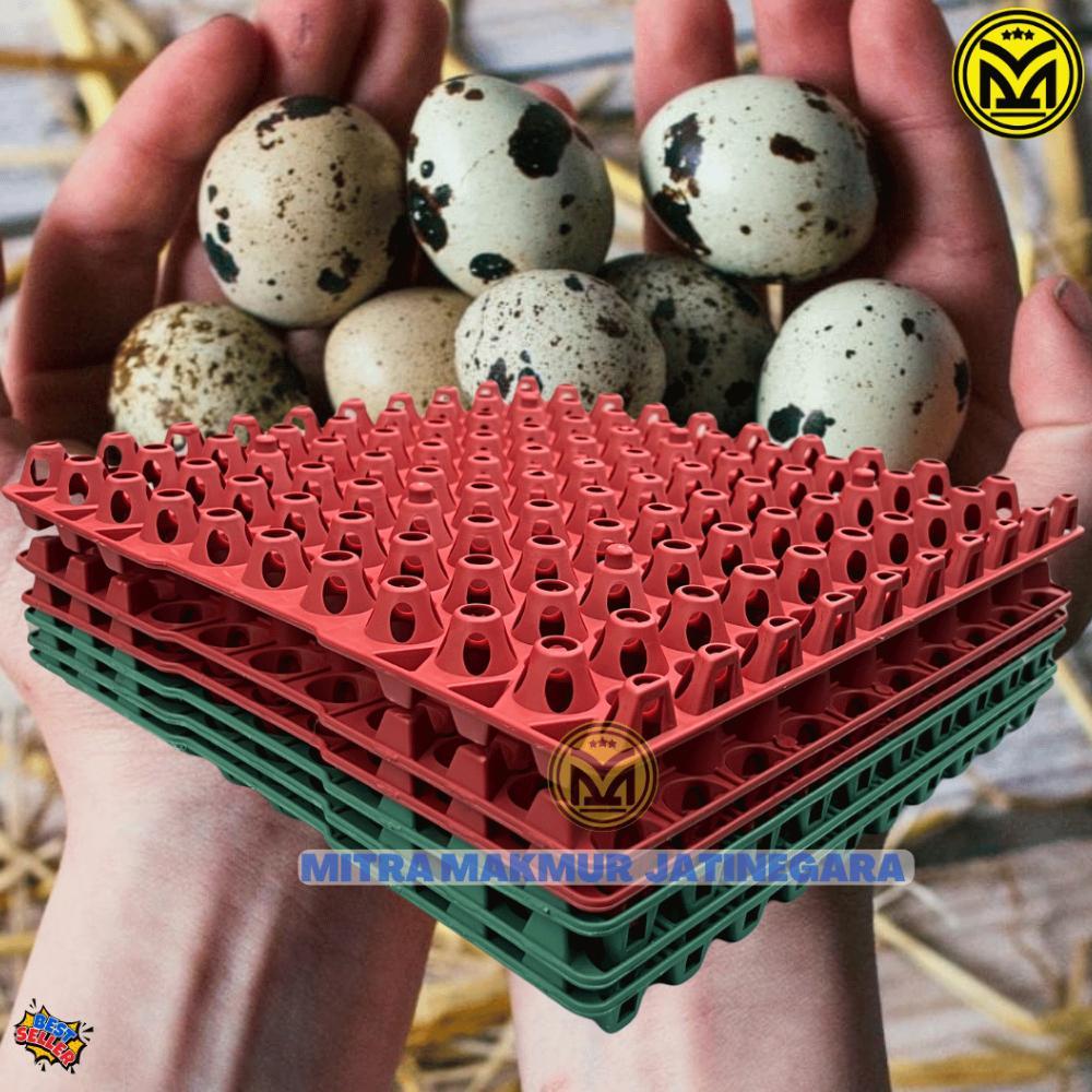 Krat Telur Puyuh Plastik Isi 90 Telur Tray Egg Puyuh Krat Plastik Telor Puyuh Egg Tray Trend