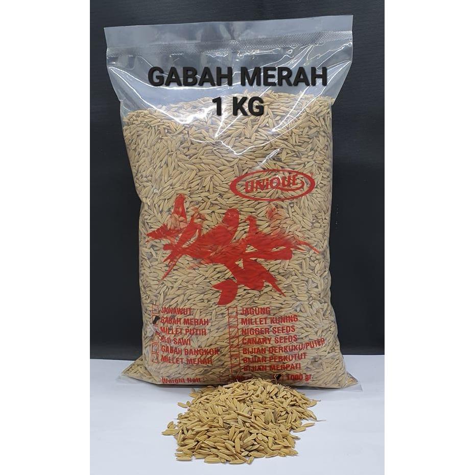UNIQUE UNIK GABAH MERAH 1 KG UNTUK LOVEBIRD AYAM PERKUTUT TEKUKUR