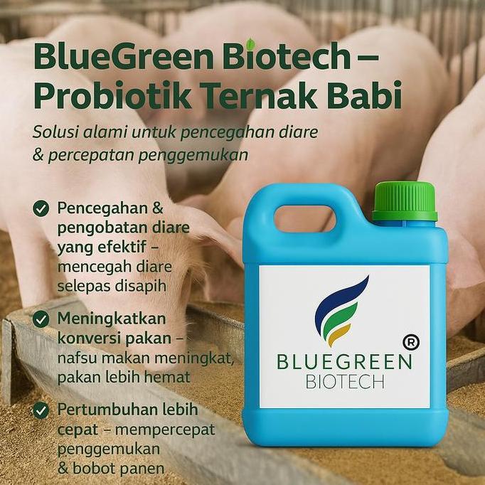 Probiotik Ternak Babi BlueGreen Biotech