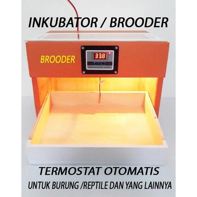penghangat anakan burung inkubator penghangat anakan burung