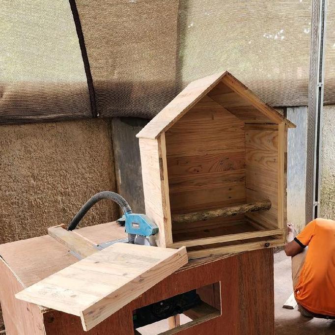 Rumah burung hantu glodok rumah owl
