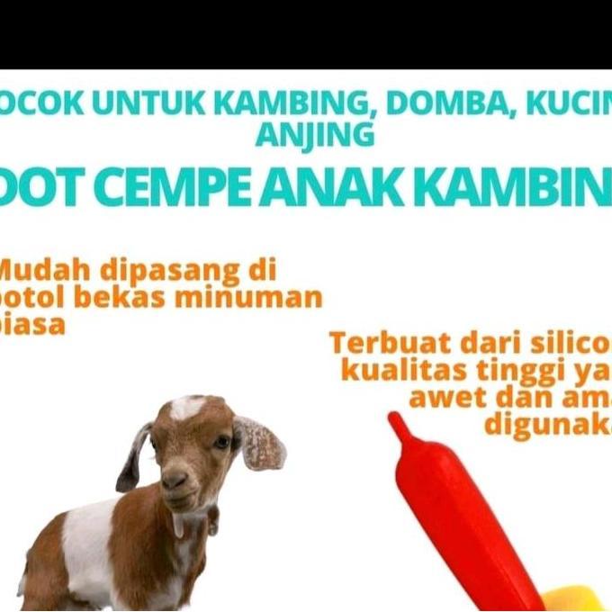 DOT CEMPE KAMBING DOMBA CAT DOG small hewan