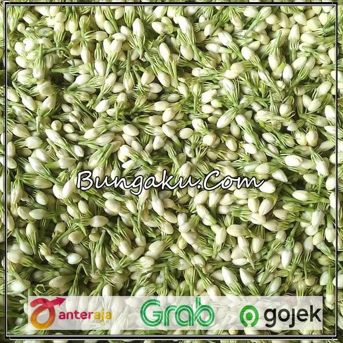 Bunga Melati asli Fresh /melati asli fresh AS