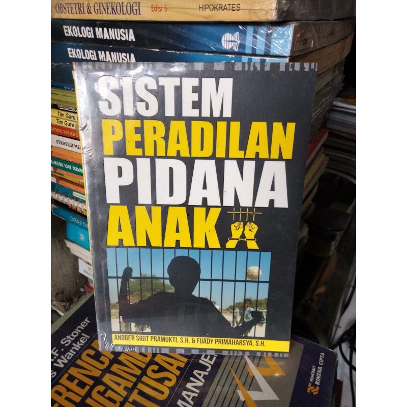 Sistem Pidana Peradilan Anak