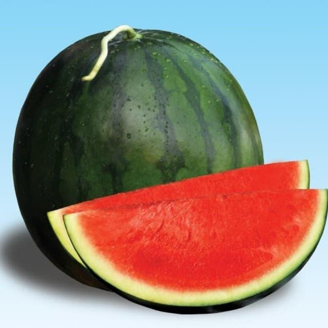 Benih / Bibit - Semangka Merah Tanpa Biji (Seedless) F1 Hybrid