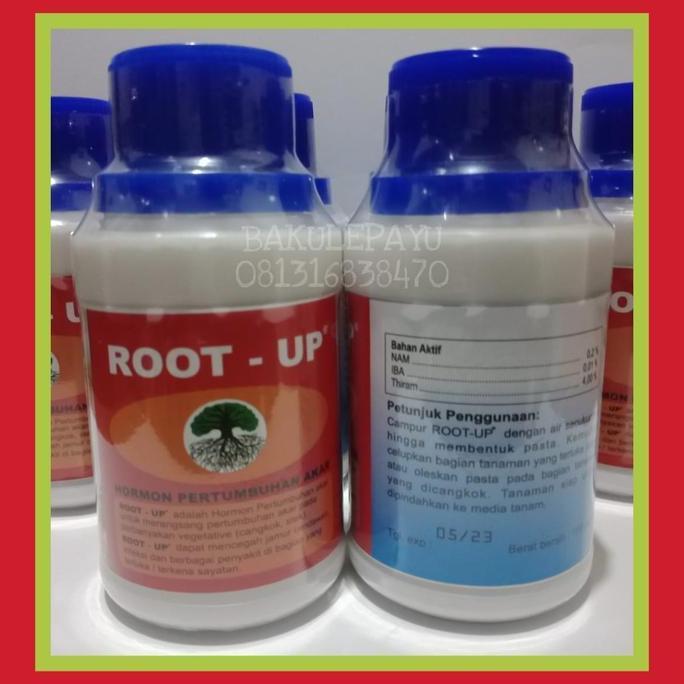 HORMON PERTUMBUHAN AKAR ROOT UP - HORMON AKAR / ROOT - UP / OBAT AKAR