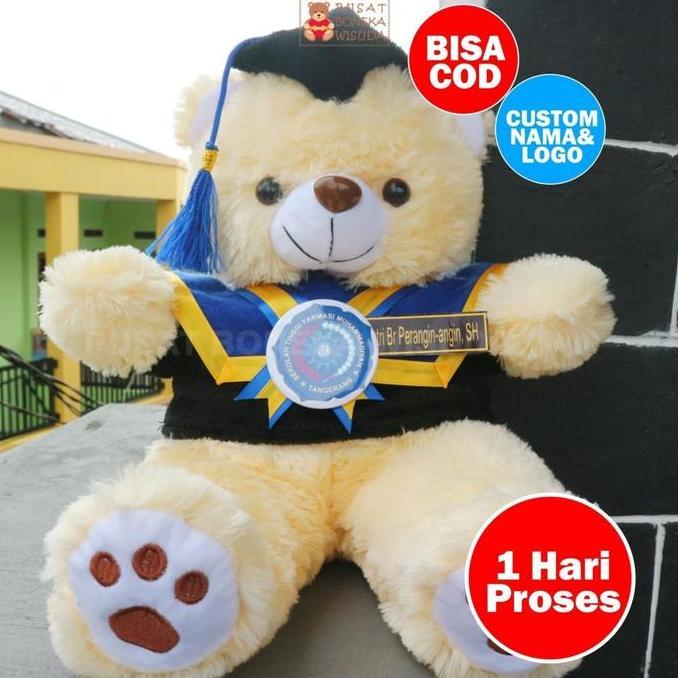 NEW BONEKA WISUDA | BONEKA WISUDA TEDDY BEAR | BONEKA TEDDY BEAR JUMBO ORI