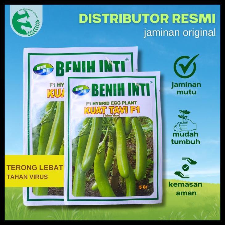 Promo / Benih Terong Hijau Kuat Tavi F1 5 Gr Cap Benih Inti Lebat Tahan Virus Gemini Kuning
