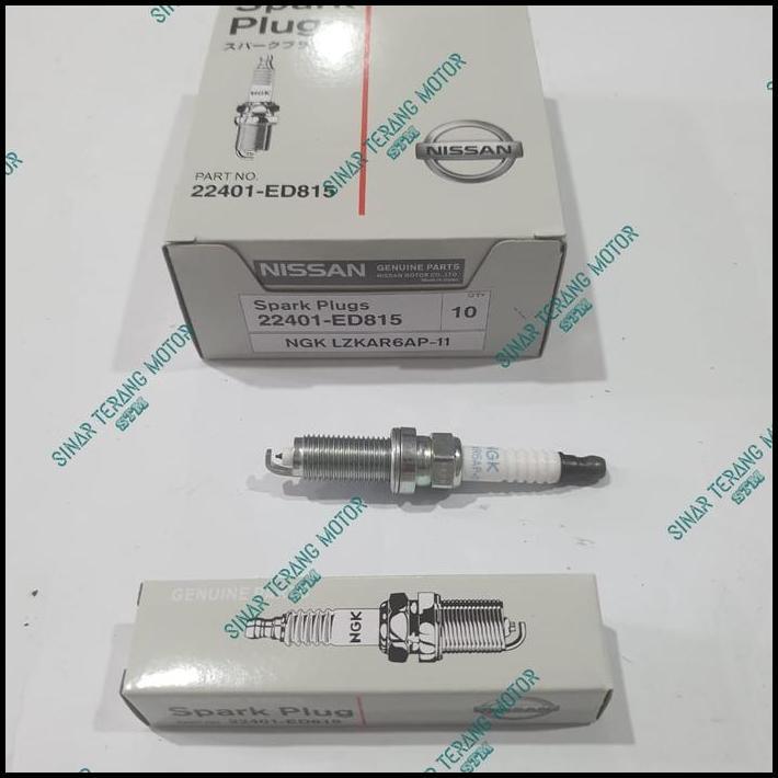 TERLARIS BUSI IRIDIUM LIVINA EVALIA LATIO ASLI 
