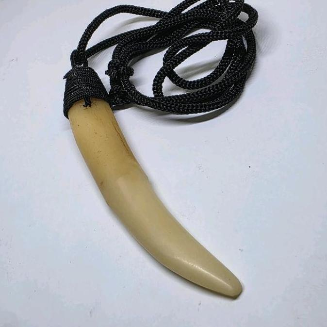 Kalung leontin kucan tarcan hoby