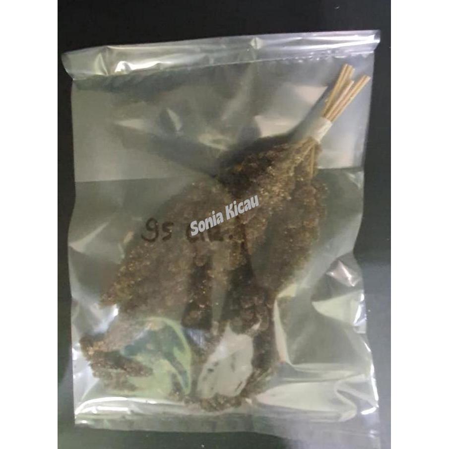 Jawawut Hitam Tangkai 95 Gram Juwawut Jewawut Hitam Tangkai