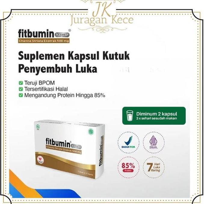XLOGIPO Suplemen Fitbumin Haruan Multivitamin Penyembuh Luka Operasi Blister Ekstrak Ikan Gabus Imun