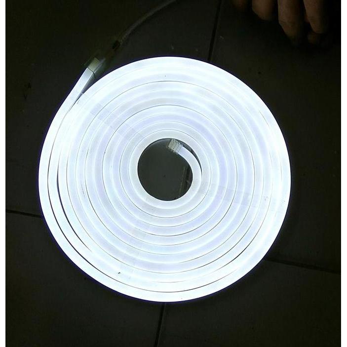 Ready  NEON FLEX DC 12V - PANJANG 5M | HURUF TIMBUL ADVERTISING - C8