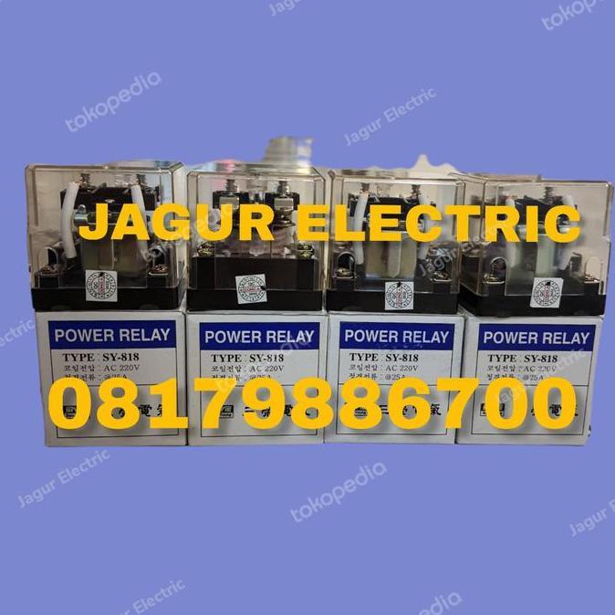 Ready SY-818 220 VAC 25A/SY 818 220 25A POWER RELAY SAMYOUNG