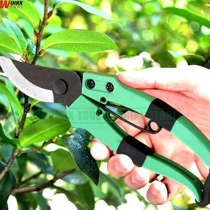 WOIRX TOOL Dahan Rumput Ranting Gunting Bonsai Gunting Taman Mini