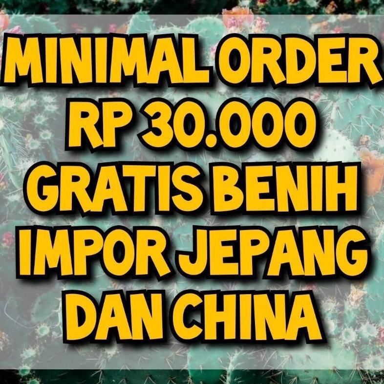 SURYA BENIH BIBIT BIJI STRAWBERRY UNGU LANGKA