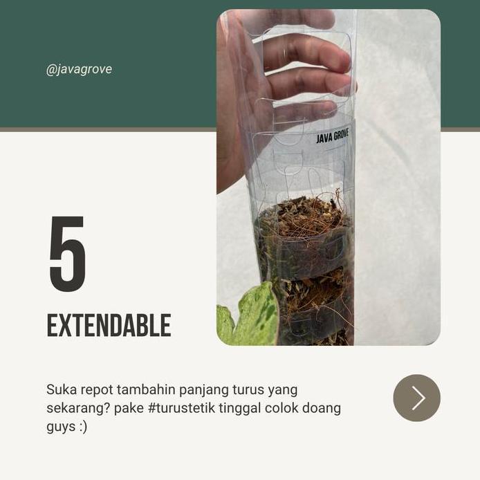 10 pcs TurusTetik / Turus Plastik Mika Bening Mica / Moss pole TURUS ESTETIK