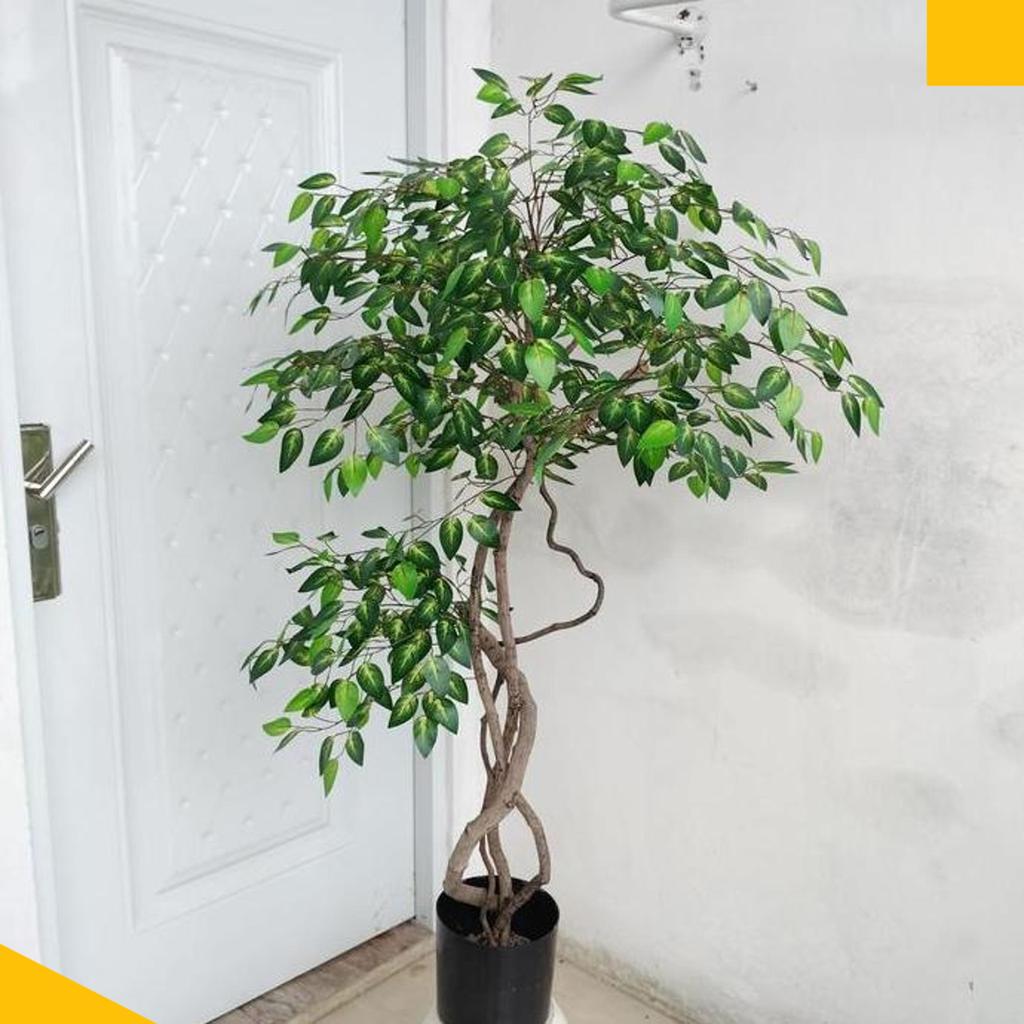 Pohon Beringin Artificial // Pohon Beringin Artificial Sudut Ruangan Tinggi 1,3 M// Pohon Beringin D