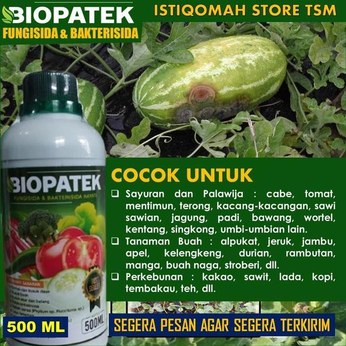 500 ML PUPUK SEMPROT BAWANG DAUN TERBAIK Mampu Mengendalikan MOLER / LAYU FUSARIUM BAWANG MERAH PALI