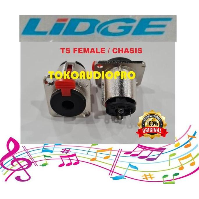 lidge akai female akai chasis jack akai tanam