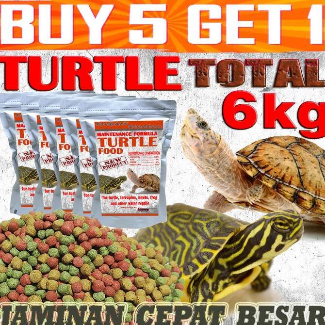 MAKANAN KURA-KURA AIR BRAZIL RES CST DAMER DADA MERAH KURA AMBON RAZOR PIPUT MONBI AST ALIGATOR PELE