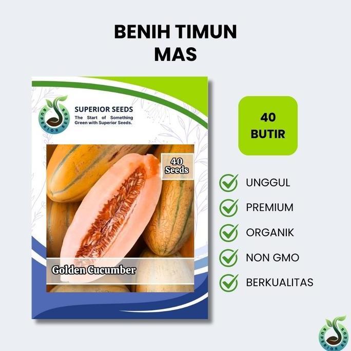 Biji Benih Timun Mas (Superior Seeds)