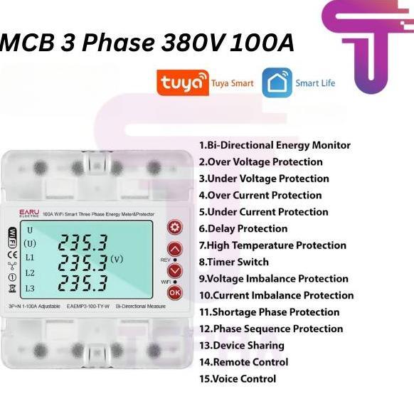 TERLARIS SMART TUYA MCB KWH METER WATT METER DITAL WIFI 100A