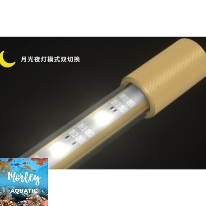 Lampu LED MAYIN PLUS Aquarium ikan Arowana / Arwana - 172cm