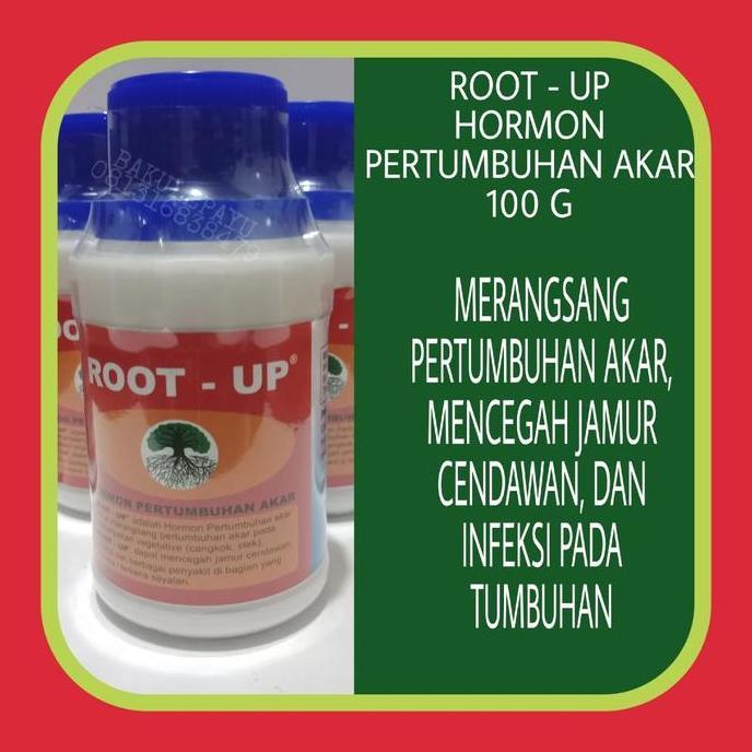 HORMON PERTUMBUHAN AKAR ROOT UP - HORMON AKAR / ROOT - UP / OBAT AKAR