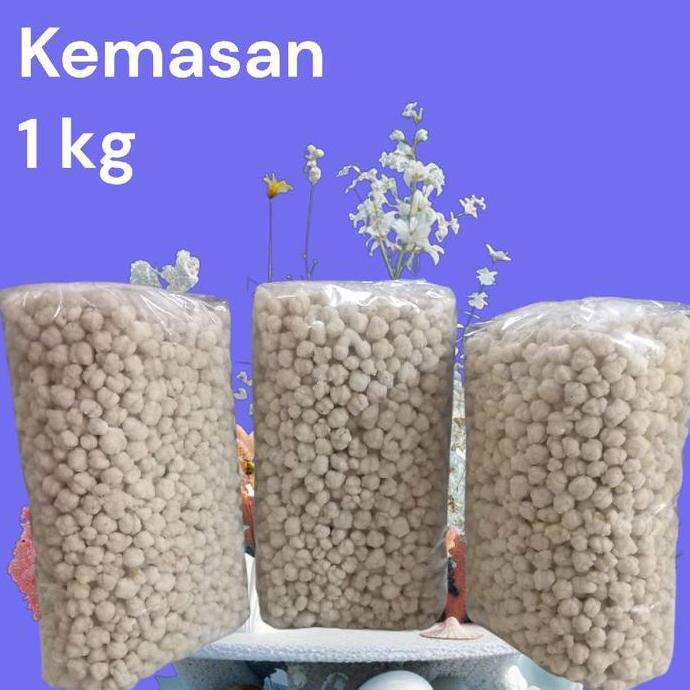 Foodx- Tiktak Kencur/Pilus Kencur/Sukro Kencur.  Food Kemasan 1Kg Penyedap