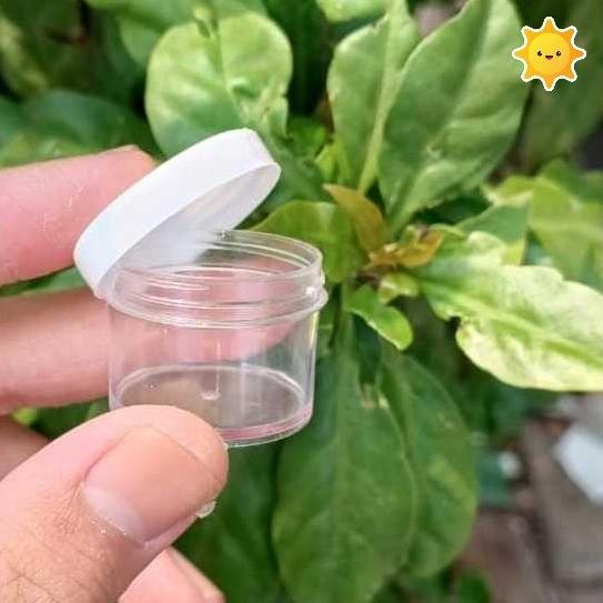 TANVISTORE POT CUP WADAH URIN URINE SALEP 10 CC GR GRAM ML 10CC 10GR 10ML BERKUALITAS