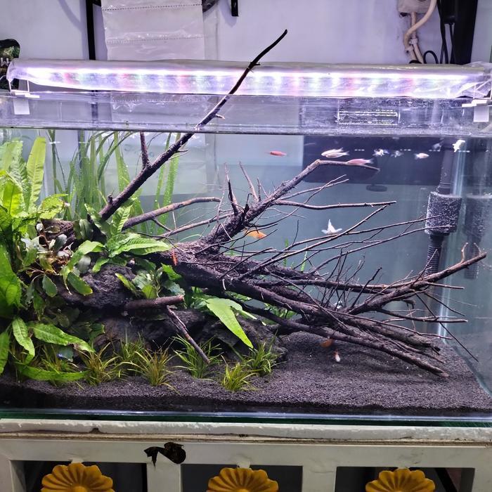 aquascape waterfall bonsai 60 cm full set