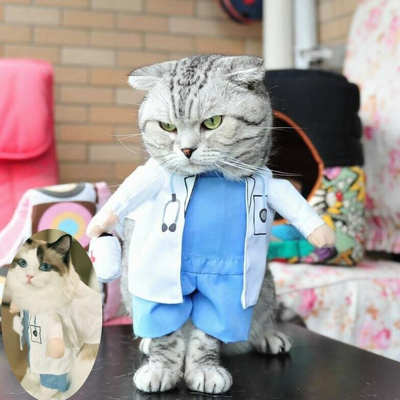 KOSTUM DOKTER CINTA - Baju Hewan Kucing Anjing Unik Dokter Diskon