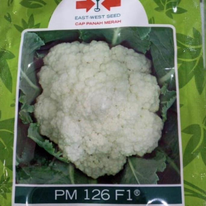 Benih bunga kol PM126 F1 10 gram bungkul hibrida pm 126 panah merah kembang kol pm126 f1 bunga kol d