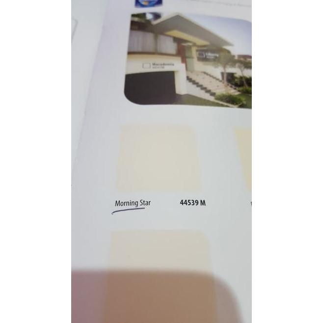 Dulux Weathershield Morning Star 44539M