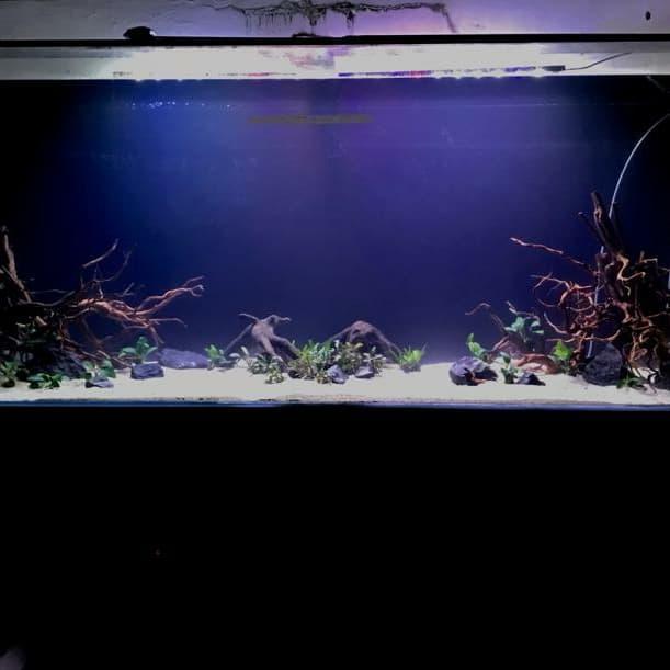 PAKET AQUARIUM AQUASCAPE FULLSET