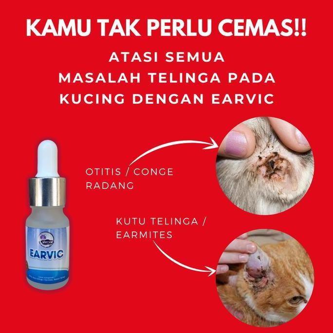 Obat tetes telinga kucing EARVIC mengobati otitis earmite kutu telinga