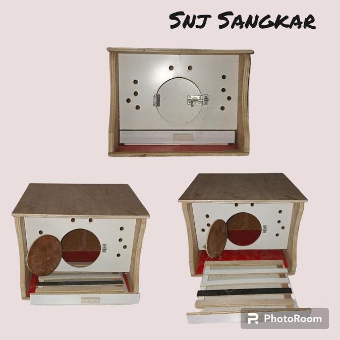 GUPON DARA RUMAH BURUNG DARA