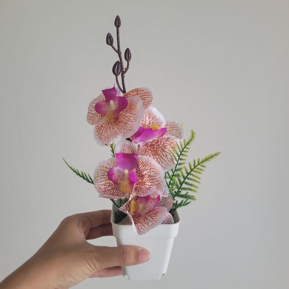 Premium Bunga Plastik Anggrek Bulan Mini Artificial