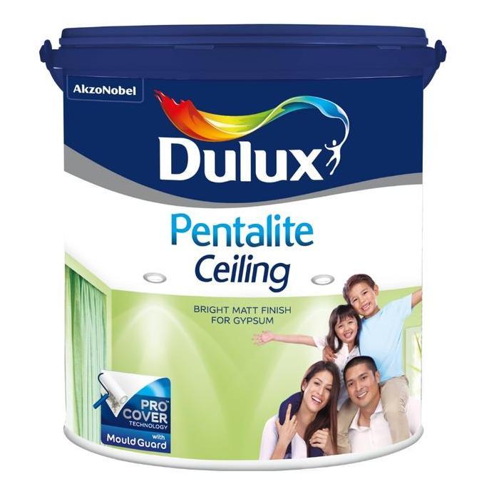 CAT PLAFON DULUX PENTALITE CEILING - 25 KG