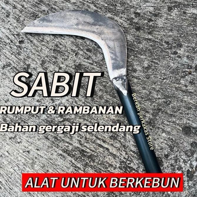 Pikadhamy - Sabit Pengaritan Bahan Gergaji Selendang Alat Untuk Berkebun