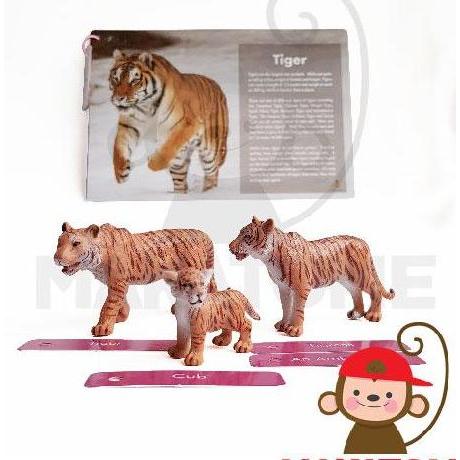 Animal Family Furine Wild1 Montess Sensory Ter Furin Macan