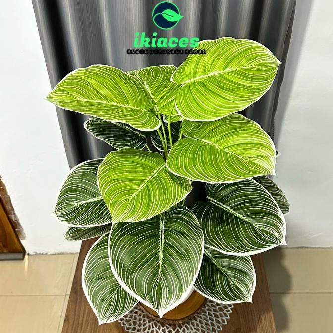 Daun Aglonema Plastik Daun Keladi Artifisial Dekorasi Bunga Sudut Rumah Daun Jumbo Murah