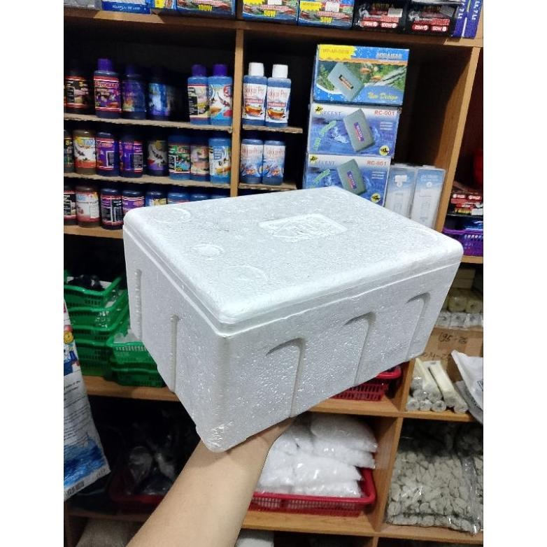 Box Styrofoam Mini  // Baru // 30X20X15 // Aquarium