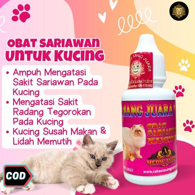 Obat Sariawan Kucing Dan Bau Mulut Radang Tenggorokan Panas Dalam Untuk Kitten Juga Kucing Dewasa
