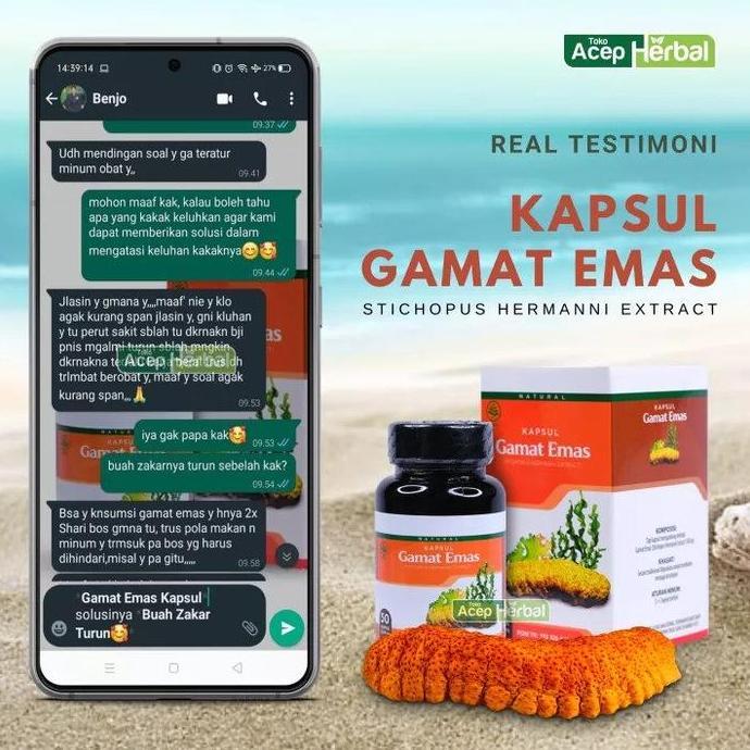 Sehatbgt- Kapsul Gamat Emas , Kapsul Gamat, Gamat Kapsul