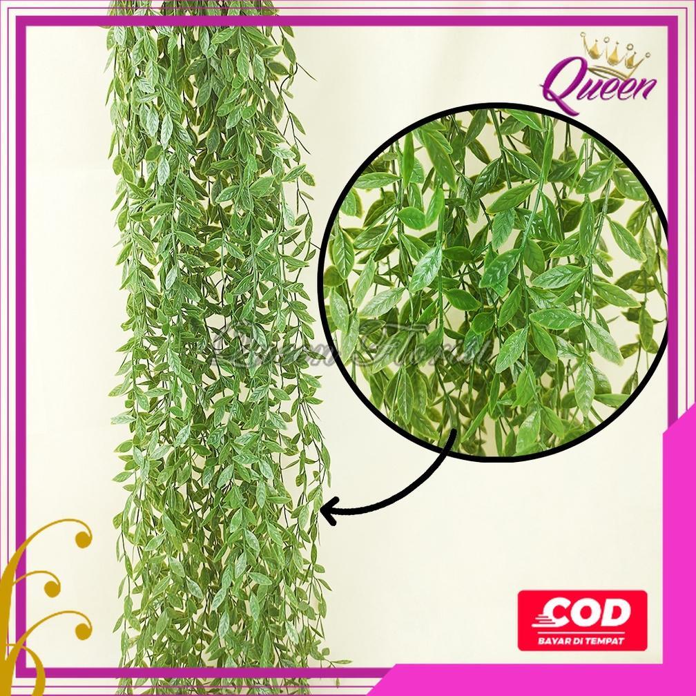 RECOMMENDED [COD] Daun Juntai Likanyu Lee Kwan Yu Hoya Costa Plastik Artificial - Tanaman Gantung Hi