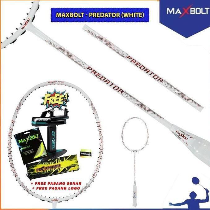 New Maxbolt Predator Raket Badminton Original