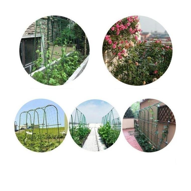 Pazx- 5 Pcs Plant Stake / Ajir Tanaman / Ajir Turus Modern 20 Mm X 180 Cm