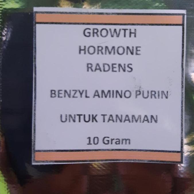 BAP 6-BA Benzyl Amino Purin Pupuk ZPT Tanaman (TERBAIK) (TERBARU) (TERMURAH)
